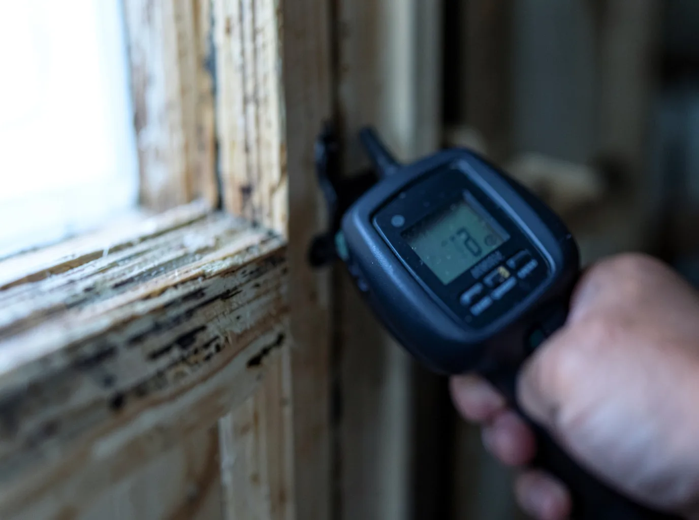 Moisture Inspection And Documentation in Rockland, WI